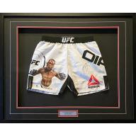 DELUXE FRAMED Nate Diaz Signed & Hand Painted  1/1 Fight Shorts