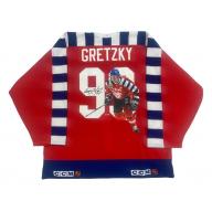 Wayne GRETZKY Signed NHL All-Star HAND PAINTED 1/1 Vintage Pro Jersey