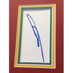 DELUXE FRAMED Joaquin PHOENIX Signed Original Aaron White Hand Painted 1/1 The Joker On Canvas