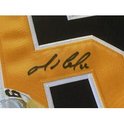 DELUXE FRAMED Mario LEMIEUX Signed Pittsburgh Penguins HAND PAINTED 1/1 Black Jersey