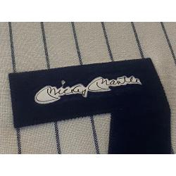 Deluxe Framed Mickey MANTLE Triple Crown Signed & Hand Painted Custom 1/1 New York Yankees Vintage Wool Jersey